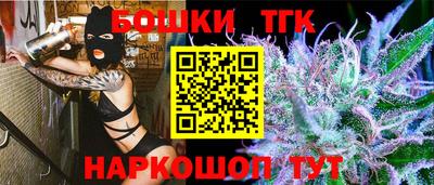 крисы Гатчина