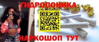 крисы Гатчина