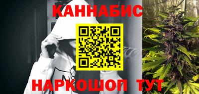 крисы Гатчина
