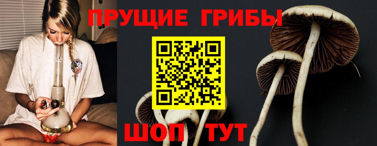 Галлюциногенные грибы Magic Shrooms  Вход с VPN  Галлюциногенные грибы Psilocybine cubensis  Воронеж 